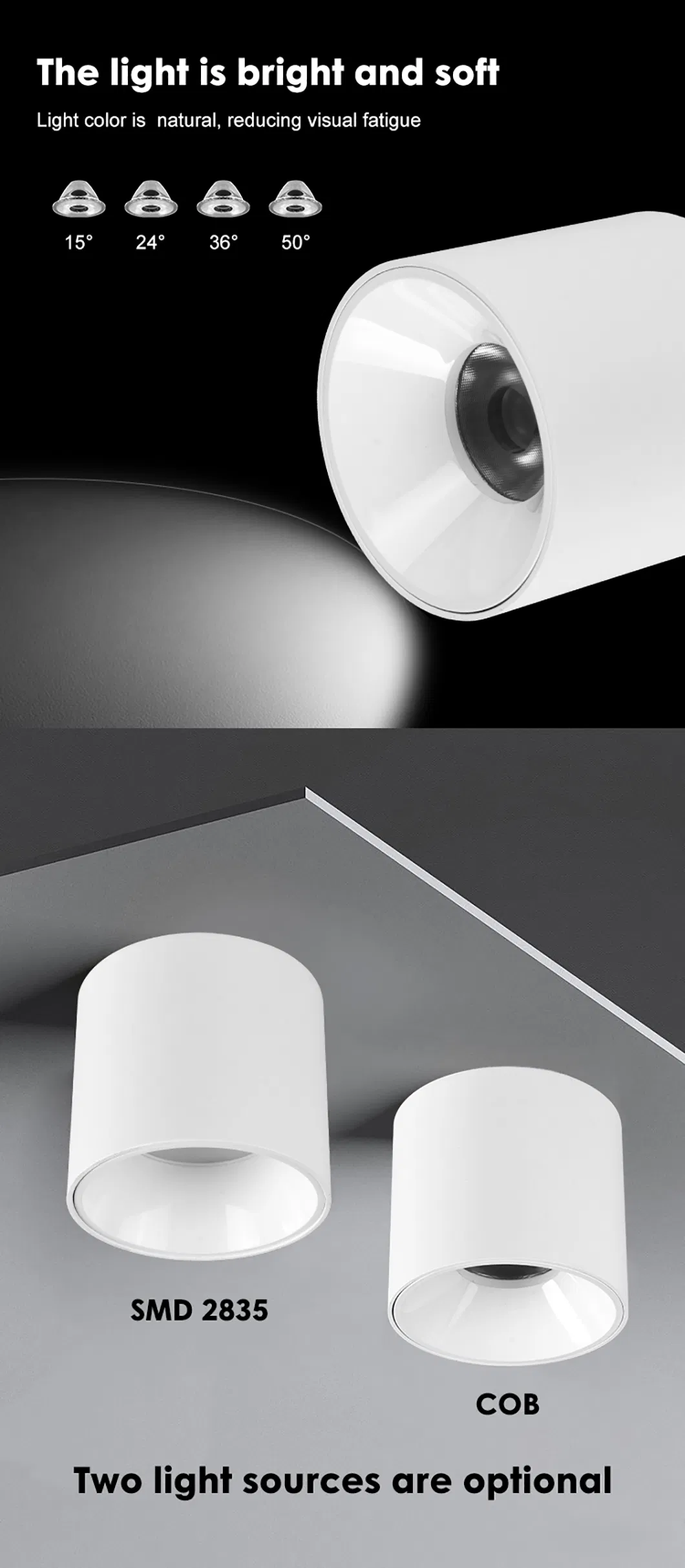 LED Downlight View 2