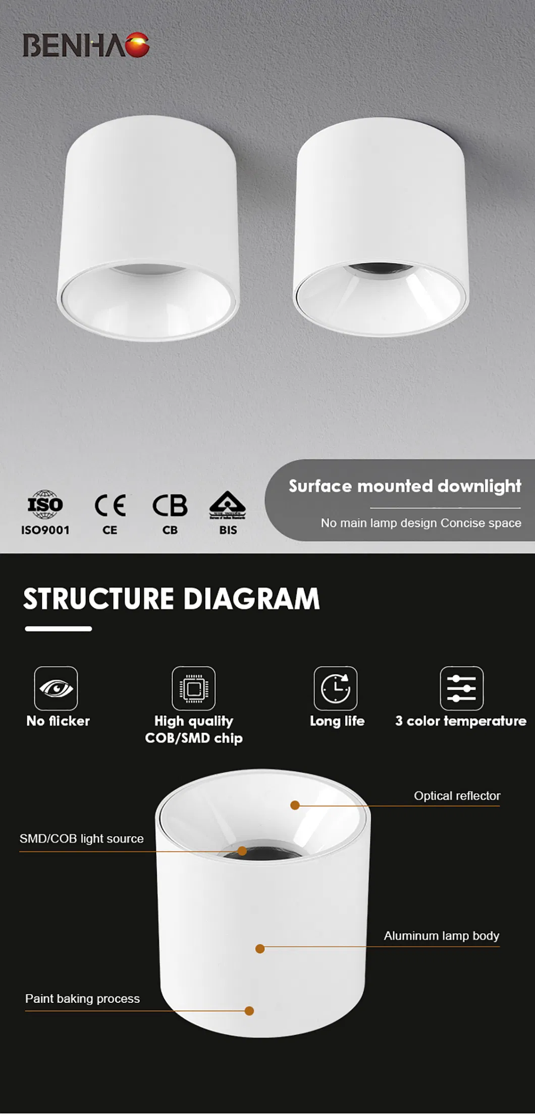 LED Downlight View 1
