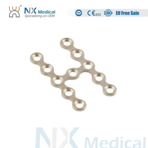 Maxillofacial System