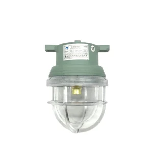 CCD5-2 Waterproof Marine Pendant Light