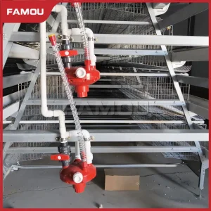 Smart Layer Chicken Cage for Advanced Poultry Farming Techniques