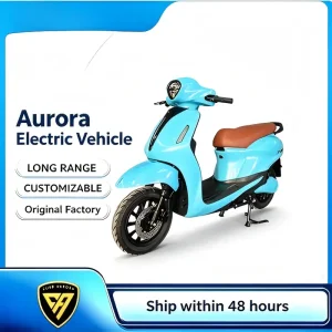 OEM Comfort Vintage Commuter E-Scooter