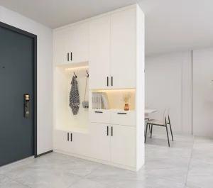 Modern Minimalist Multifunctional Shoe Cabinet CE Saso GOST-R Authenticate