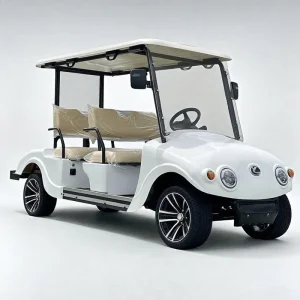 Vintage Lithium for Commercial Use with EPS and Disc Golf Car