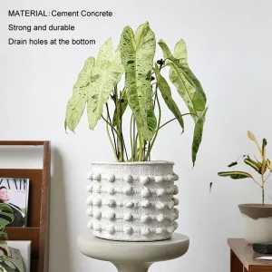 Distressed Concrete Flower Pot in Antique Polka DOT Style