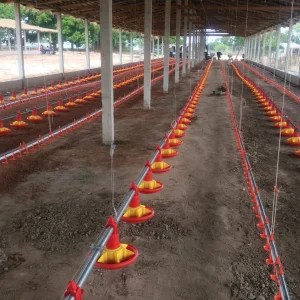 Poultry Farm