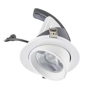 Versatile 25W 5-Inch Recessed LED Downlight with Gimbal Design