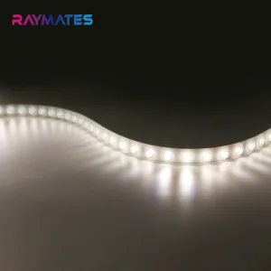 RAYMATES LED Wall Washer RGBW Waterproof SMD2835