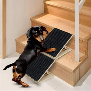 Wooden Dog Ramp