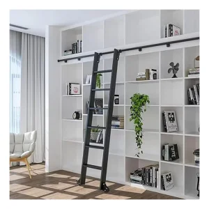 Mobile Library Ladder Bookcase