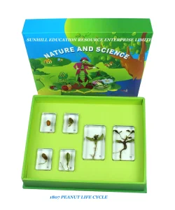 Science Classroom Toy
