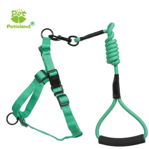 Custom Pet Nylon Harness