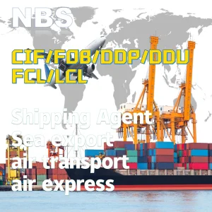 LCL/FCL DDU/DDP Shipping Ocean Freight Forwarder Air Shipment Railway Logistics Sea Freight From China to USA/Canada/Europe/Middle East/Argentina/Bahamas