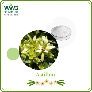 Astilbin 80% Extrato de Planta