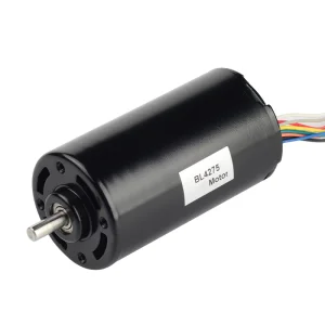 24V BLDC Motor