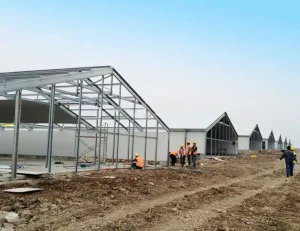 Quality Assurance Construction Steel Fabricated Steel Structural Factory and Farm Buildings