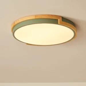 Rust Proof Ceiling Light
