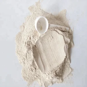 Best Price Premium Organic Rice Protein Powder