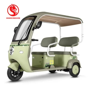 Wholesale ASIAN DRAGON Sage Green Canopy Tricycle