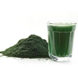 Organic Blue Green Algae Powder