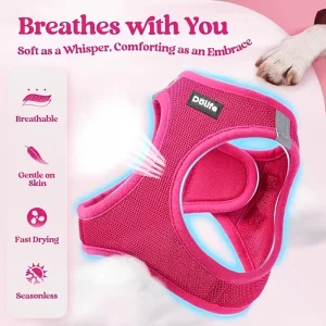 Arnés para perros de malla de aire con logo personalizado, arnés de nylon cómodo y transpirable con patrón de letras para perros