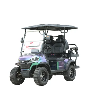 Street Legal 4WD Electric Golf Cart