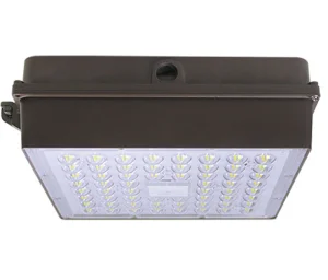 Ceiling Mounted Light