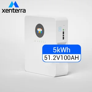 Wall Mounted Small 5kw Solar Battery Lithium Ion Batteries Popular 51.2v 100ah Lifepo4 ESS Battery With Bt