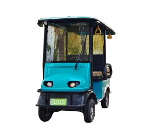 Binocular Vision Autonomous Driving Electric Golf Carts