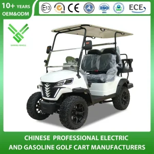 Hot Sale Electric Golf Car 4 Person Electric Golf Cart