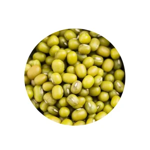 Fresh And Dried Green Mung Beans Sortex Grade