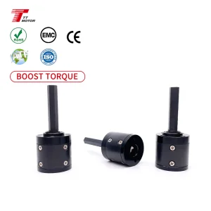 GMP42 TT Motor Dual Axle DC 24 Volt