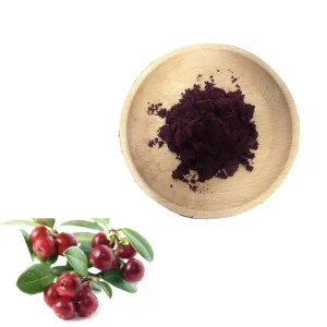 China Bilberry Extract Powder