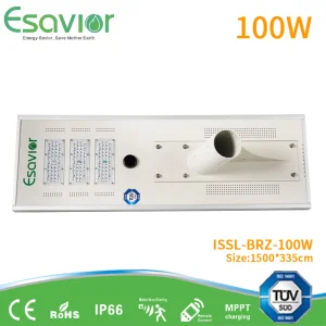 100W All in One Solar Road Lamp