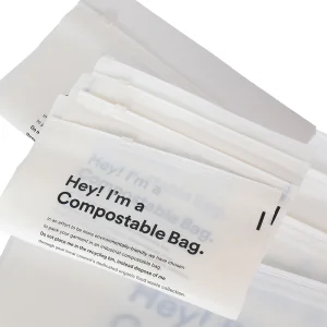 BPB Eco Friendly Zipper Clothes Biodegradable Frosted Plastic Ziplock Bag PE Zip Lock Packaging Bag with Custom logo Printing