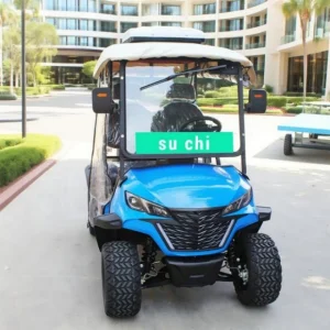 Golf Courses Dedicated 2-Seats Electric Golf Carts with 48V/60V/72V Batteries Providing Customization and OEM Processing Service
