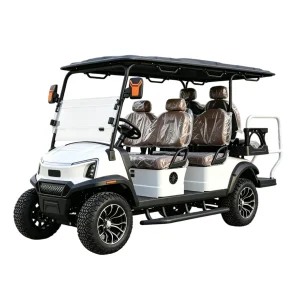 Golf Cart Personalizado