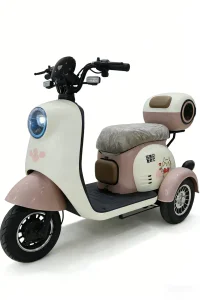Multifunctional electric tricycle with high-elasticity seat cushion, rear storage compartment and suitable for short-distance transportation.