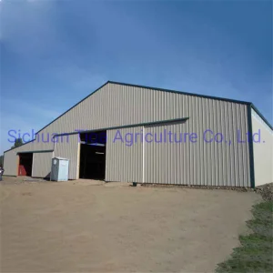 Professional Design Fireproof Long Span Light Frame Aircraft Shed Prefabricated Steel Structure Hangar