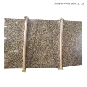Wholesale Stone Price Giallo Fiorito Granite Slab for Floor Wall Tile