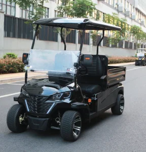 Wholesale 72V 4kw AC UTV Electric Buggy