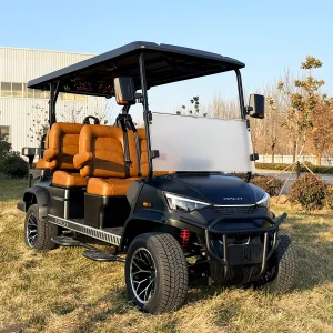 6 Seater Buggy