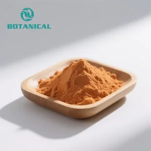 ODM CoQ10 Powder Q10 Bulk Supply
