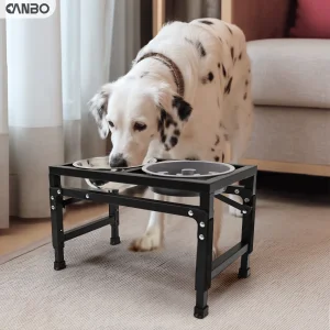 CanboPet 2 in 1 Elevated Stainless Steel Dog Bowls