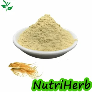 Ginseng Panax Chinês
