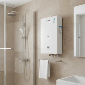 Reliable Gas Heating Boiler