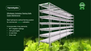 Customizable Indoor Vertical Hydroponic Growing Rack Commercial Lettuce Farming Solution with Smart Airflow Technology