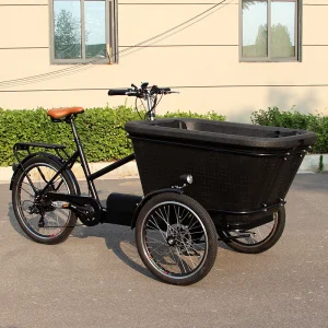 3 Wheel Electric Cargo Bicycle