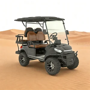 Cengo Luxury 2-Seater Golf Cart, Comfortable Riding Experience