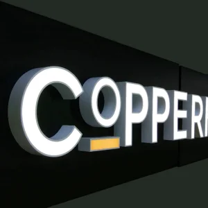 Custom Channel Letter Signs